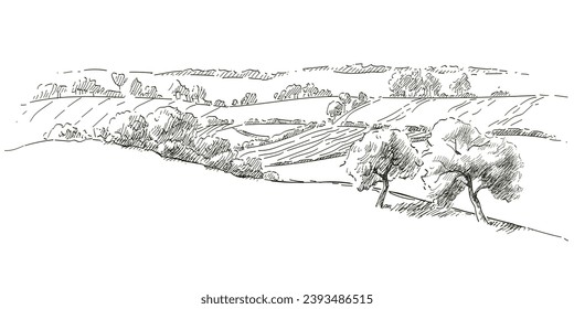 Field on small hills. Meadow green grass, grassland, pasturage, farm, trees. Rural scenery landscape panorama of countryside pastures. Hand drawn sketch vector illustration