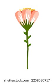 Feldrosa Blume mit Stöcken. Botanische Vektorgrafik einzeln auf weißem Hintergrund für Postkarte, Poster, Werbung, Dekoration, Stoff und andere Verwendungszwecke.