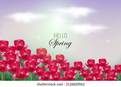 Field of pink tulips of bright colors against the sky, vector illustration