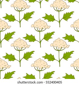 Field plant flowers colored vector seamless pattern.  Botanical design on white  background.