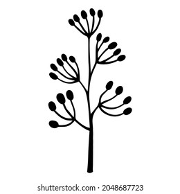 Planta de campo con inflorescencias icono vector. Doodle dibujado a mano. Estem con bayas de oval. Esbozo botánico. Concepto monocromo para la decoración y el diseño de tarjetas, textiles y artículos de papelería.