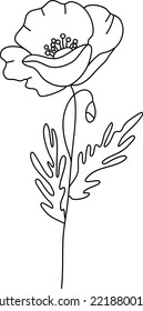 Vector de línea de planta de campo, vector de flor de línea, planta de amapola, diseño de línea minimalista, vector de planta silvestre