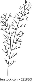 Vector de línea de planta de campo, vector de flor de línea, diseño de línea minimalista, vector de vegetación silvestre