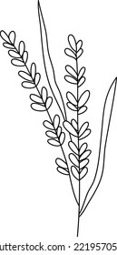 Vector de línea de planta de campo, vector de flor de línea, diseño de línea minimalista, vector de vegetación silvestre