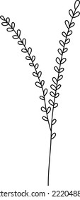 Field plant line vector, line flower vector, minimalist line design, wildplant vector