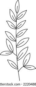 Field plant line vector, line flower vector, minimalist line design, wildplant vector