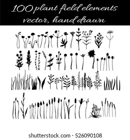 Field plants bundle. Meadow flowers set. Grass and weed collection. Branches and twig. Botanical drawing. Vector hand drawn silhouettes isolated on white.