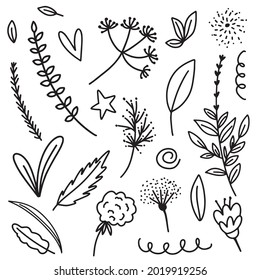 Field Plants Flower Set. Contoured collection of flowers, grasses and leaves. Hand-drawn leaves, floral icons. Exotic floral sketch. Vector illustration, isolated on white background.
