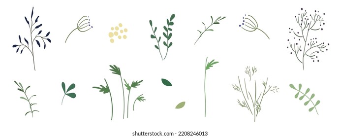 Field plants, flower stems, leaves, herbs, twigs, flower pollen in a naive style. Set of isolated vector botanical elements. Use for decor, design, stickers, tattoos, decorations, icons, symbols, etc.