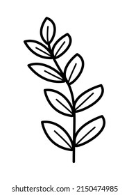 Field plants, meadow grass and flowers. Vector doodle illustration
