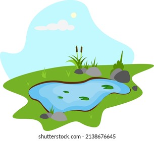 Field pond, illustration, vector on a white background.