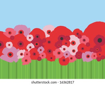 field of poppies