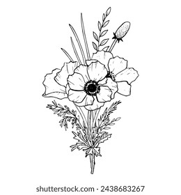 Field poppies bouquet with wild herbs and grass vector illustration with anemone flowers with bud for spring design and Mothers day cards. Floral ink hand drawing