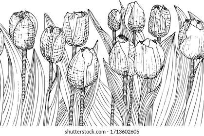Campo de amapolas. Patrón horizontal sin problemas. Coloriendo páginas de libros. Pintura de línea, pluma de mano sobre fondo blanco. ilustración vectorial