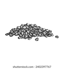 field poppy hand drawn. remembrance day, illustration floral, summer memorial field poppy vector sketch. isolated black illustration