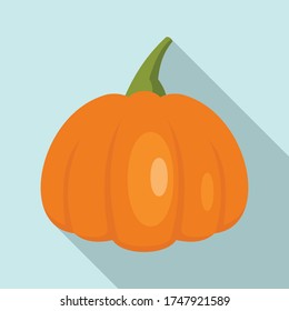 Field pumpkin icon. Flat illustration of field pumpkin vector icon for web design