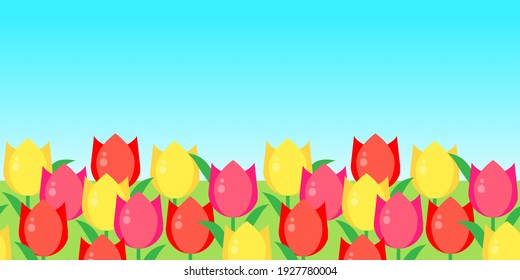 A field of red, pink, yellow flowers tulips with green leaves against a blue sky. Floral background. Horizontal seamless pattern. Vector illustration