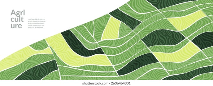Field rice pattern on farm, abstract background, agro texture, rural green nature design. Agriculture landscape banner, crop silhouette, eco farmland, organic countryside, harvest, earth illustration