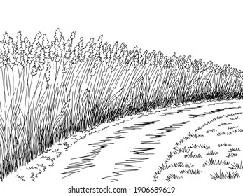 Field road graphic black white landscape sketch illustration vector 