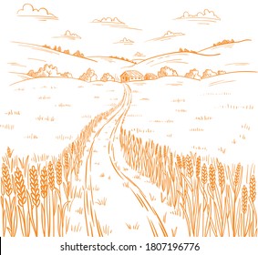 Field road. Rural landscape. Hand drawn sketch. Wheat field track. Countryside village. Cereal harvest. Contour vector line.