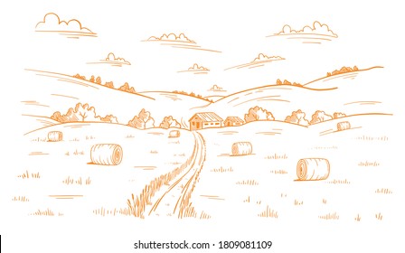 Field road. Rural landscape. Mown straw grass. Hand drawn sketch. Countryside track. Contour vector line. Autumn panorama.