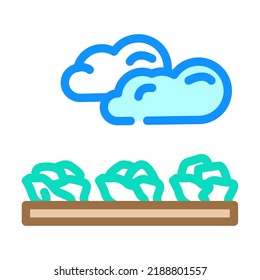 field salad food color icon vector. field salad food sign. isolated symbol illustration