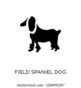 Field Spaniel dog icon. Field Spaniel dog symbol design from Dogs collection. Simple element vector illustration on white background.
