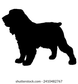 Field Spaniel Dog on the move. Dog in different poses. jumps runs. The dog is sitting. The dog is lying down playing