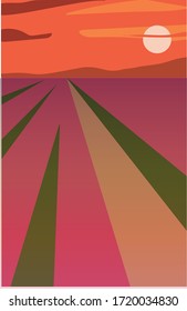 field, sun, clouds and orange sunset illustration. field vector drawing. 