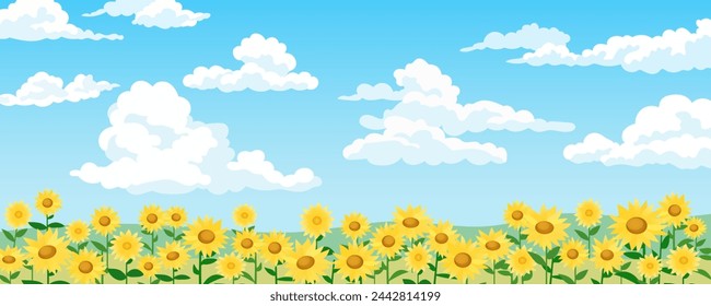 Field of sunflowers against a background of blue sky with clouds. Vector illustration of beautiful yellow sunflowers with amazing sky and white clouds. Sunflower. Summer.