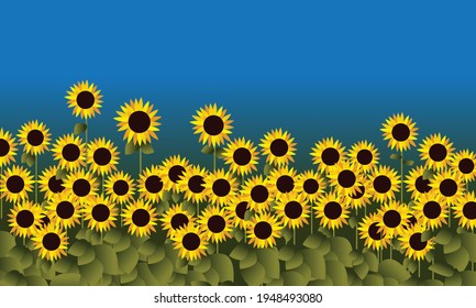 Campo de girasoles con fondo azul del cielo