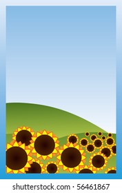 field of sunflowers on a background of blue sky