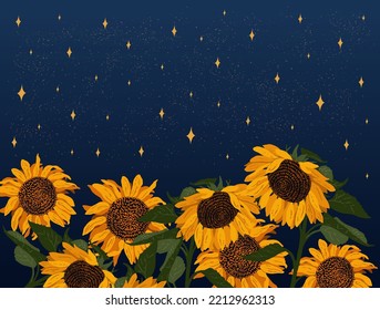 Un campo de girasoles bajo un cielo estrellado. Ilustración vectorial colorida.