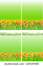 field of tulips, landscape