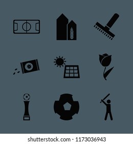 field vector icons set. with football cup, solar panel, rake and sowing seeds in set