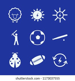 field vector icons set. with ladybug, baseball player, solar energy and soccer ball in set