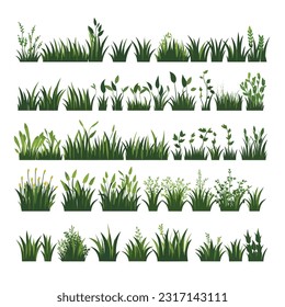 Field vegetation vector set isolated on white