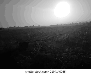  Field view with sky in the morning