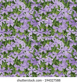 Field with violet small flowers. Seamless vector background.