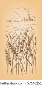Field of Wheat, Barley or Rye in graphic style