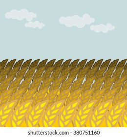 Field of wheat. Grain margin and blue sky. Rye Spikes 