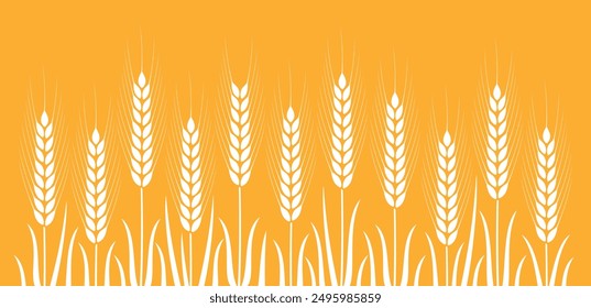 Field with wheat. Isolated wheat on white background