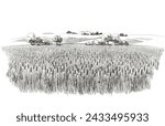 Field of wheat on hills in the background. Rural landscape. A trees, plants, forest panorama. Hand drawn vector watercolor illustration.