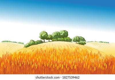 Field of wheat on summer hills and dales. A trees, plants, forest panorama. Rural yellow landscape. Hand drawn vector watercolor illustration.