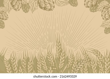 Field wheat vector 
