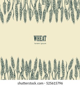 Field of Wheat vector illustration, ideal for bread packaging, beer labels