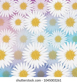 Field of white daisies and chrysanthemums