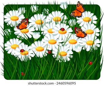 A field of white daisies with a yellow center against a background of green grass ladybugs and orange butterflies beautiful summer background Vector