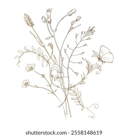 Field, wild flowers and herbs cosmos, buttercups, dandelion, mouse pea with a butterfly. Line art is a simple hand-drawn illustration in beige, ochre, brown ink. Bouquet flowers vector EPS