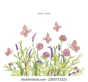field of wild plant with flying butterflies